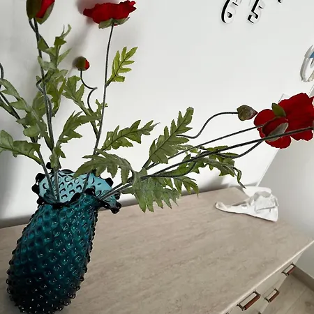 Sul Mare Apartamento *